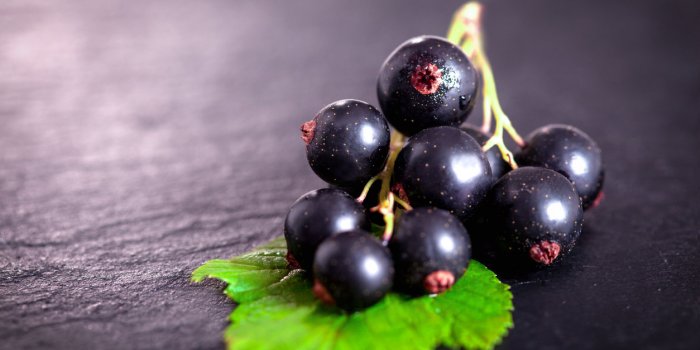 Les fruits dâété à congeler pour profiter de leurs bienfaits toute lâannée