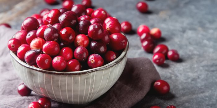 Les fruits dâété à congeler pour profiter de leurs bienfaits toute lâannée