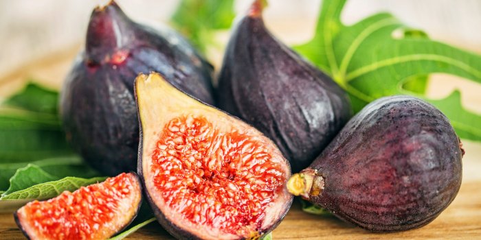 Les fruits dâété à congeler pour profiter de leurs bienfaits toute lâannée