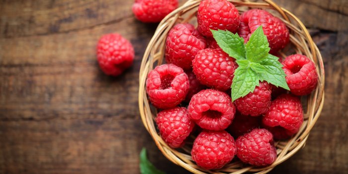 Les fruits dâété à congeler pour profiter de leurs bienfaits toute lâannée