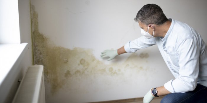 Humidité : 7 signes que votre logement n'est pas sain