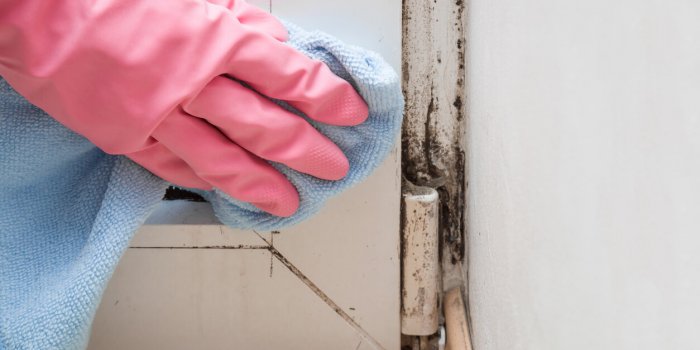 Humidité : 7 signes que votre logement n'est pas sain