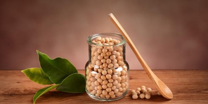 Cancer : 9 plantes à éviter !