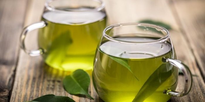 Cancer : 9 plantes à éviter !