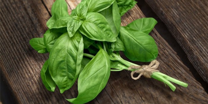 Régime : 8 indispensables pour un repas light
