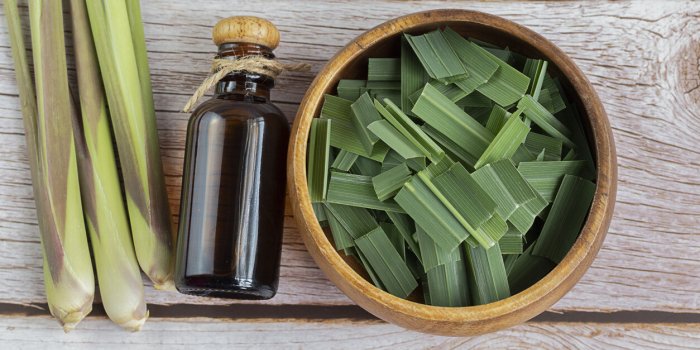 fresh lemongrass leaves on table lemongrass adds a distinctive citrus aroma and is used in thai cuisine for its aroma, me...