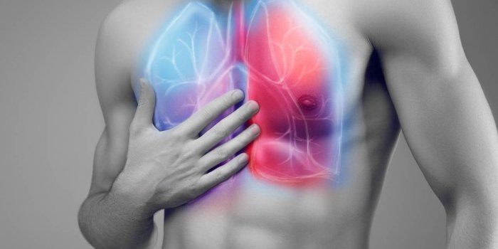Covid-19 : les 8 organes touchÃ©s par la maladie 