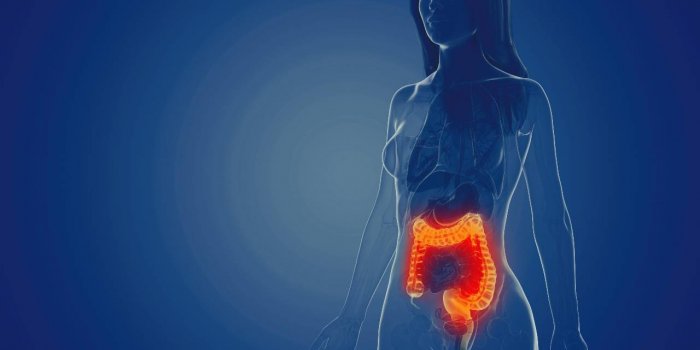 Covid-19 : les 8 organes touchÃ©s par la maladie 