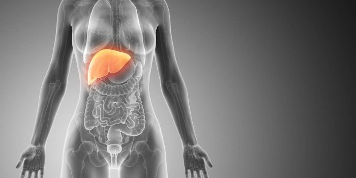 Covid-19 : les 8 organes touchÃ©s par la maladie 