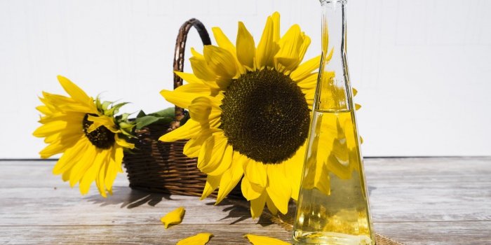 7 plantes qui soulagent les coups de soleil