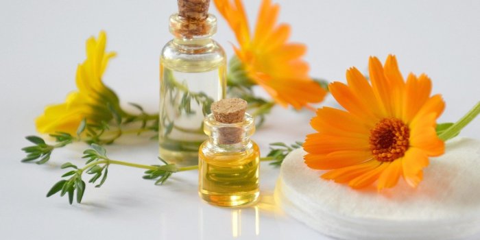 7 plantes qui soulagent les coups de soleil