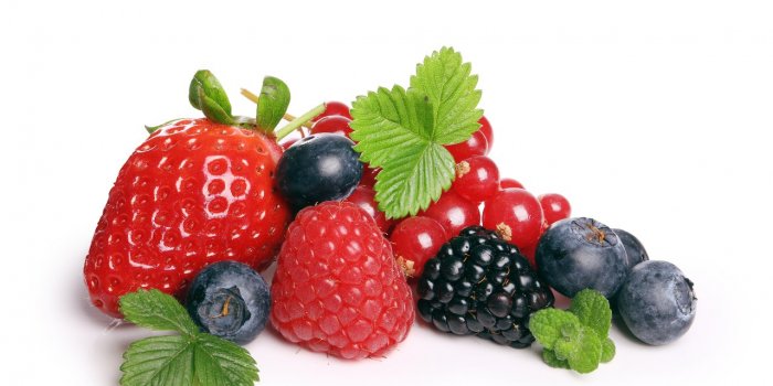 Déclin cognitif : 7 aliments riches en vitamines C pour réduire les risques