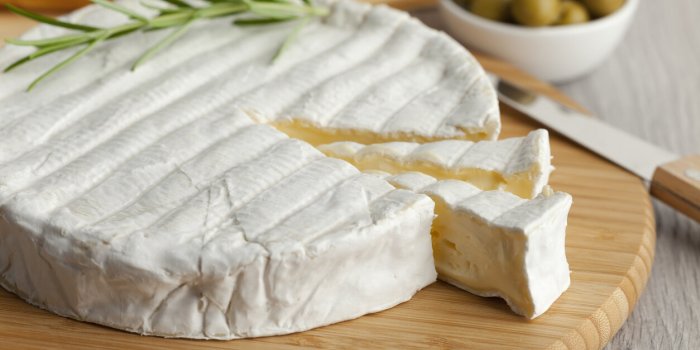 Les meilleurs fromages pour votre microbiote