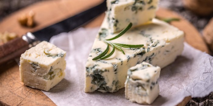 Les meilleurs fromages pour votre microbiote