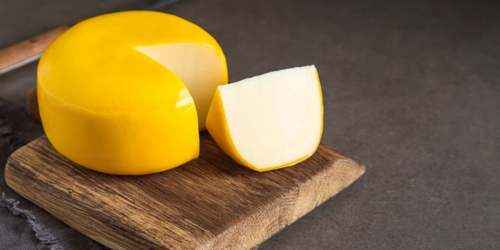Les meilleurs fromages pour votre microbiote
