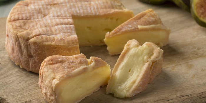 Les meilleurs fromages pour votre microbiote