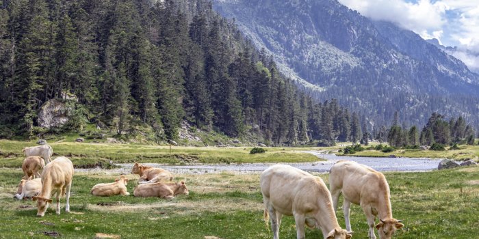 Tiques : les 5 lieux oÃ¹ vous pouvez vous faire mordre