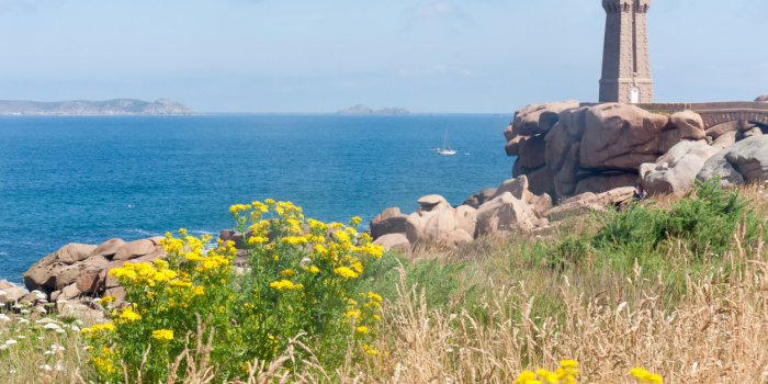 Tiques : les 5 lieux oÃ¹ vous pouvez vous faire mordre