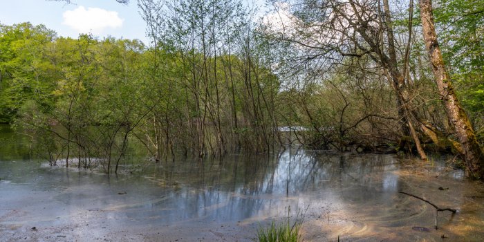 Tiques : les 5 lieux oÃ¹ vous pouvez vous faire mordre