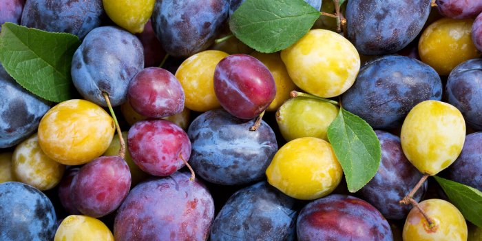 Fatigue : 7 fruits recommandés pour booster votre énergie
