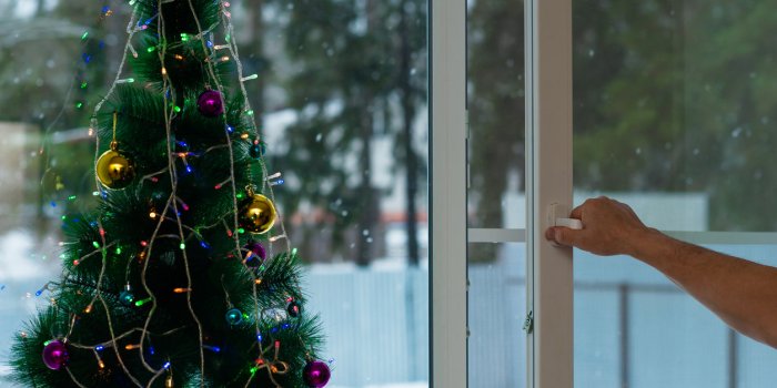 man opens christmas window with mosquito net
