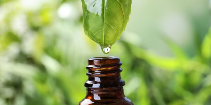 5 huiles essentielles pour prendre soin de ses ongles