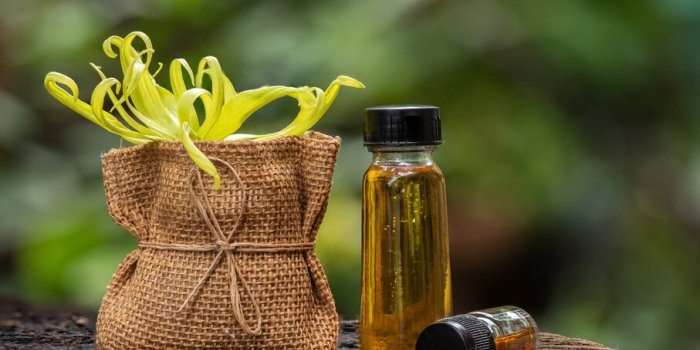 5 huiles essentielles pour prendre soin de ses ongles