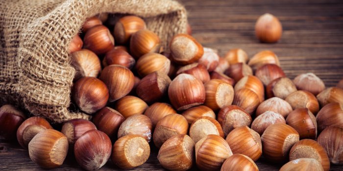 Ces 8 fruits Ã  coque les plus riches en protÃ©ines !