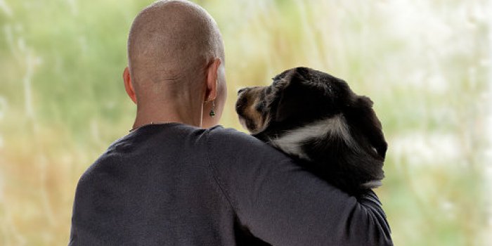 6 maladies que les chiens peuvent détecter