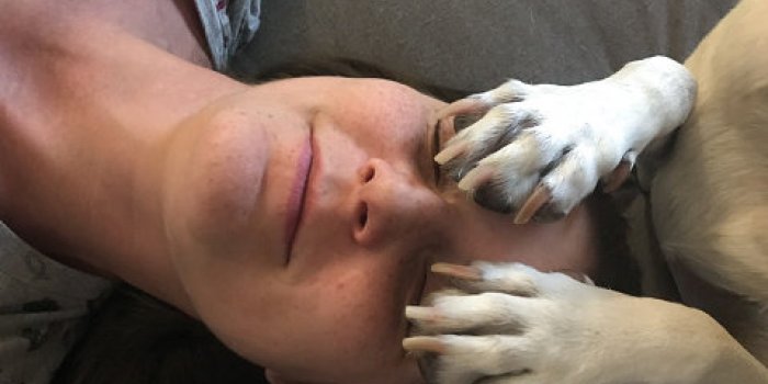 6 maladies que les chiens peuvent détecter