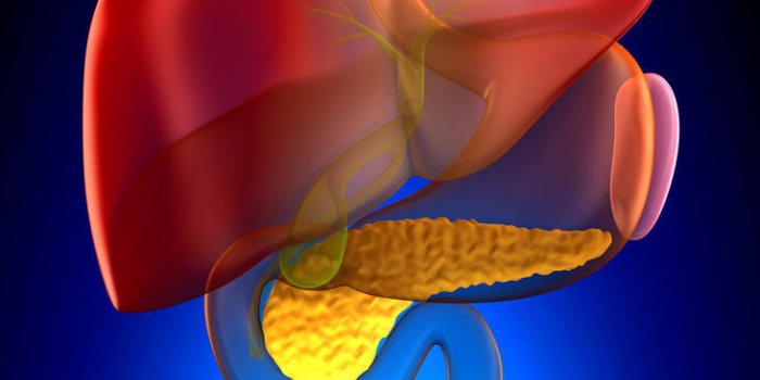 Les 5 cancers les plus foudroyants