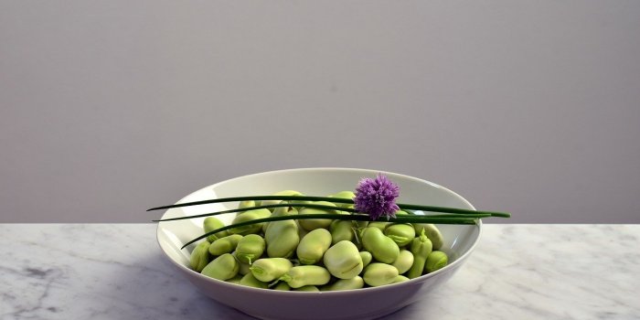 Fer : 20 aliments pour faire le plein sans consommer de viande