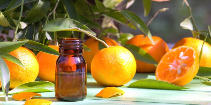 5 huiles essentielles à mettre dans son garde-manger