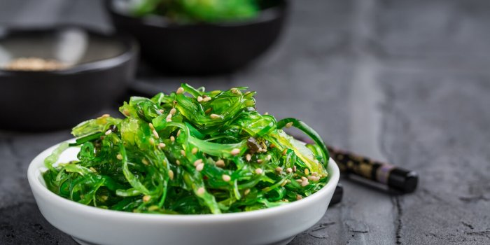 traditional japanese wakame salad with sesame seeds on black background healthy and fresh seaweed salad