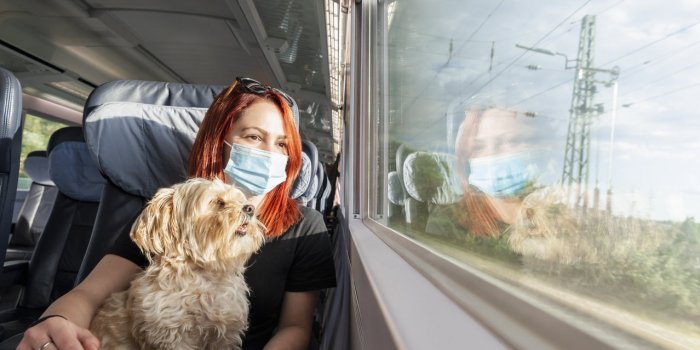 Pass vaccinal : 10 lieux où il faut être vacciné pour y accéder