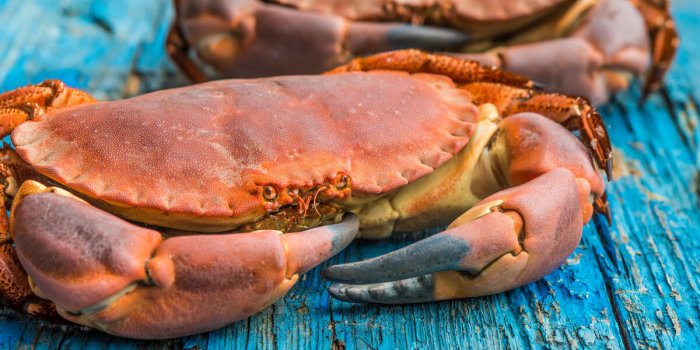 Acide urique : 10 aliments Ã  Ã©viter