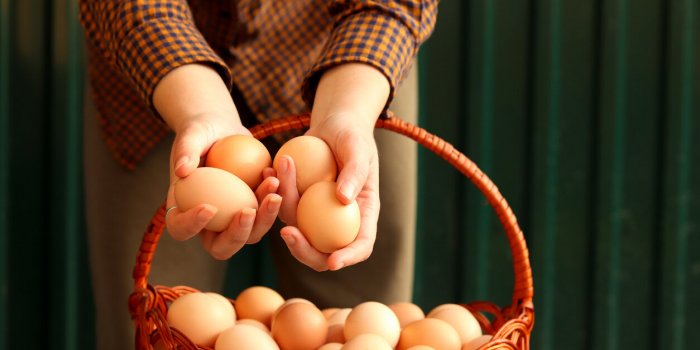 Quelle est la meilleure alimentation après 50 ans ?
