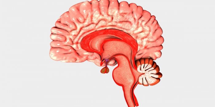 Confusion aiguë : 7 facteurs de risque mis en évidence par une étude
