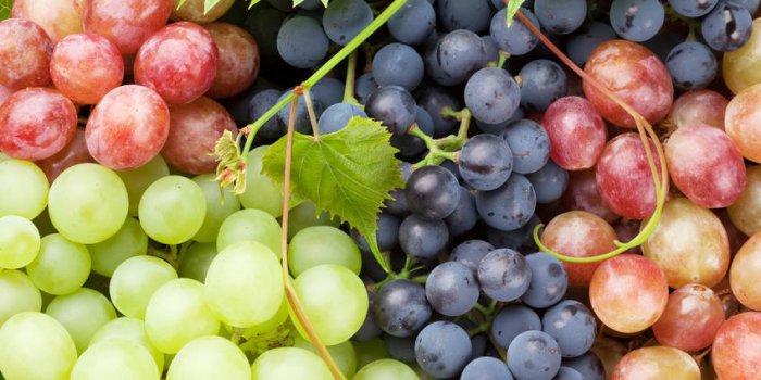 DÃ©pression saisonniÃ¨re : 12 aliments pour ne pas Ãªtre fatiguÃ© cet automne