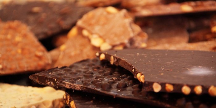 15 aliments à ne jamais donner à votre chien