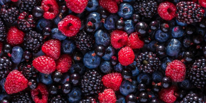 Les 5 aliments recommandÃ©s par un expert en longÃ©vitÃ©
