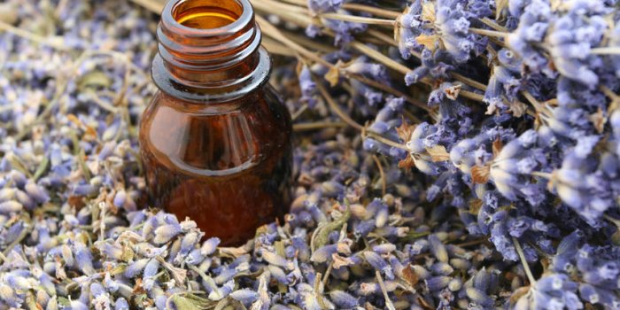 8 astuces pour rÃ©ussir Ã  dormir malgrÃ© les moustiques