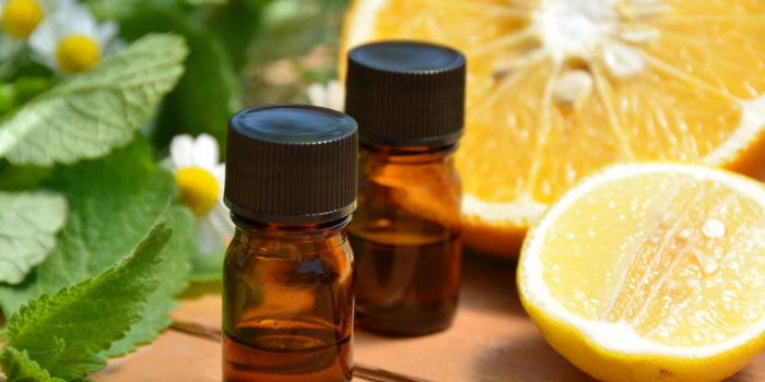 8 astuces pour rÃ©ussir Ã  dormir malgrÃ© les moustiques