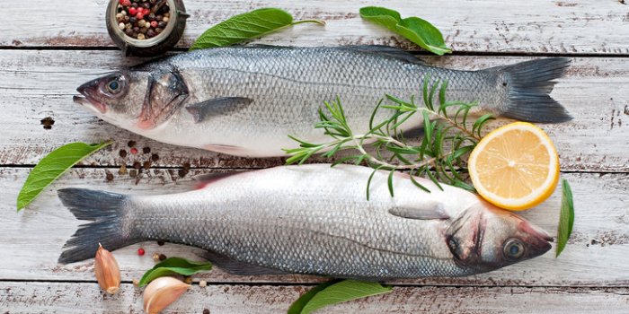 15 aliments bons pour vos reins et qui nettoient l'organisme