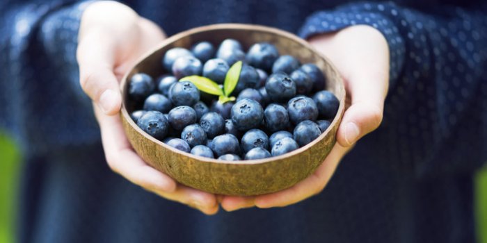 Gastro-entérite : 15 plantes qui soulagent
