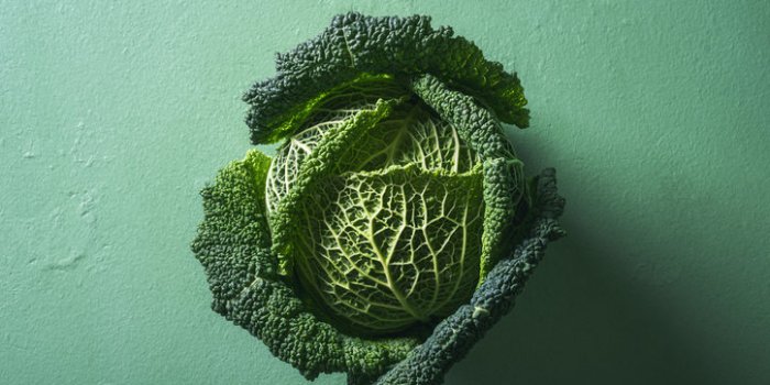15 aliments bons pour vos reins et qui nettoient l'organisme