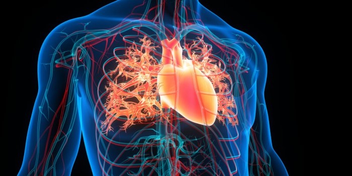 7 effets nÃ©fastes de la colÃ¨re sur votre santÃ©