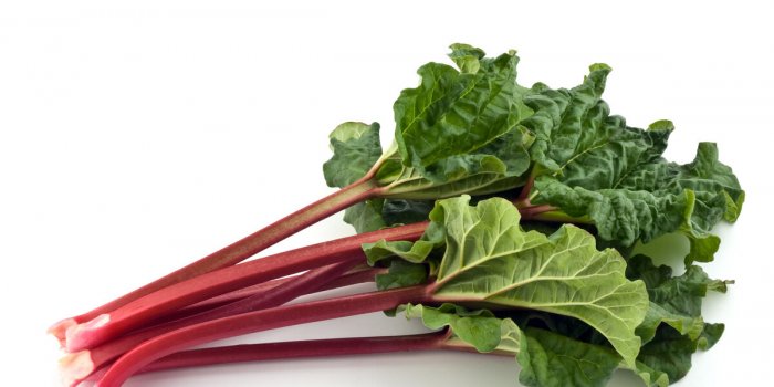 5 aliments riches en nitrates pour se muscler