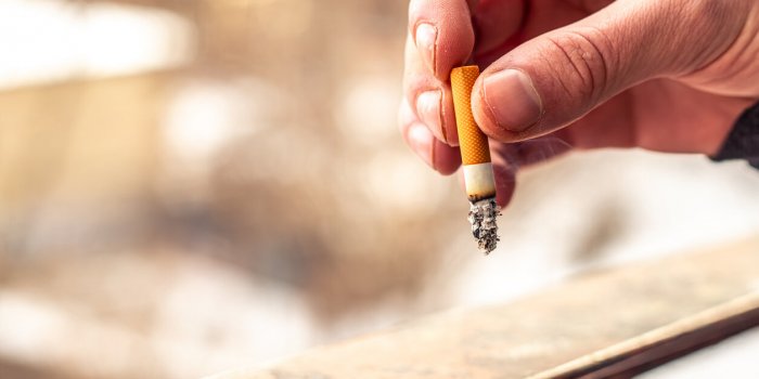 Athérosclérose : sept leviers pour prévenir une maladie cardiovasculaire silencieuse