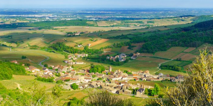 Variant britannique : les départements les plus épargnés